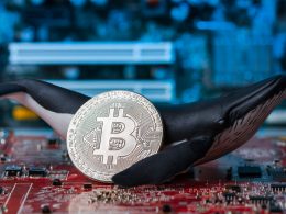 Baleias acumulam grandes valores de Bitcoin com a queda do mercado