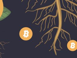 Taproot, a atualização do Bitcoin que promete escalar a rede